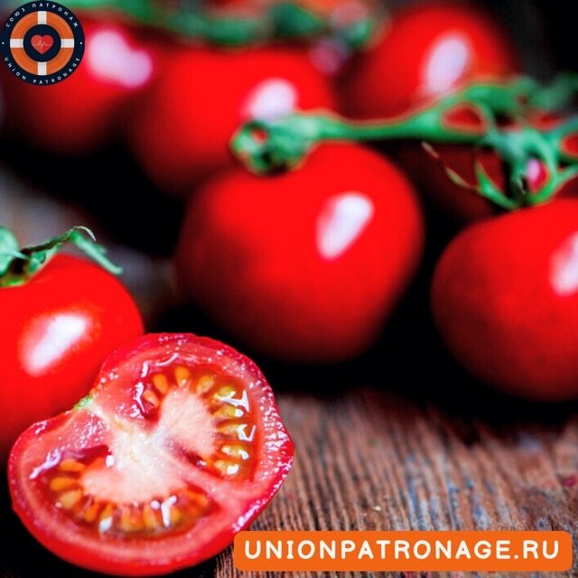 Фото взято из открытых источников 