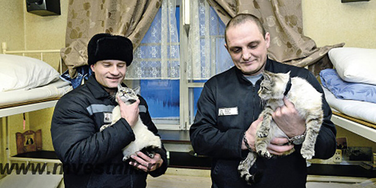 А какие могут быть еще друзья в тюрьме? Подпишись!