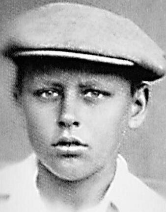 из интернета