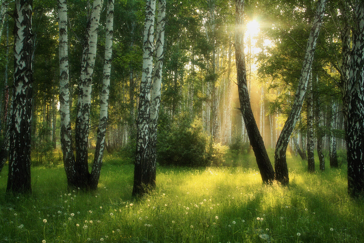 Анжела Усманова / Доброе утро, Солнце!