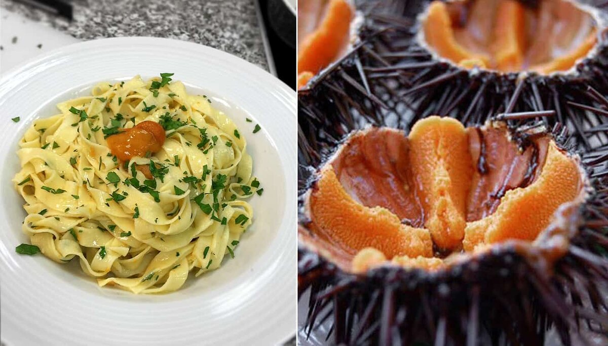 икра морского ежа сушеная, «энерголайф», 500 мг. сырные палочки в панировке. морской еж икра. настойка морского ежа. экстракт морского ежа.