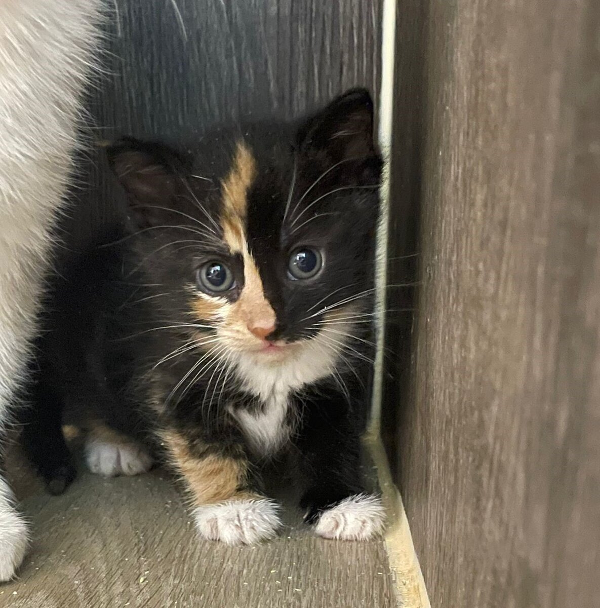 мне нужна ваша забота