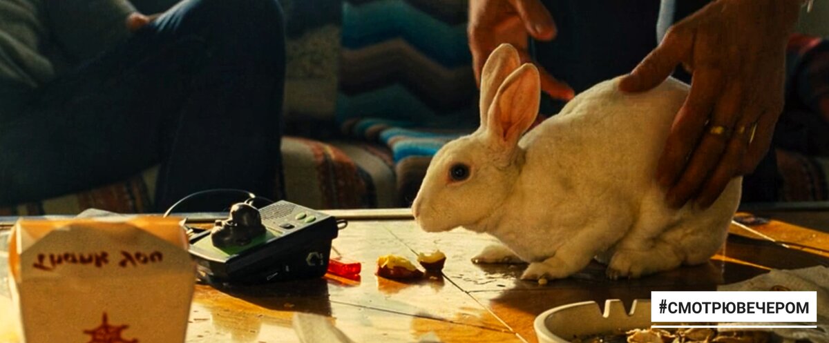 кадр из фильма