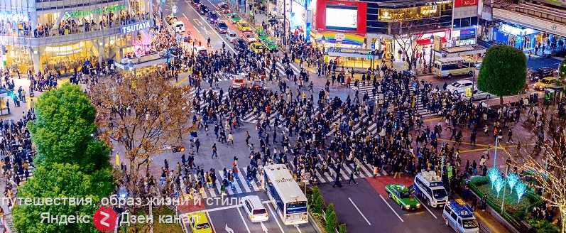 район Shibuya