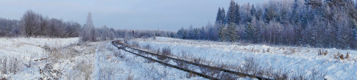 Январским морозным днём на Рождество Христово на 33 км в районе бывшей станции Шлина. Фото: Алексей Алексеев