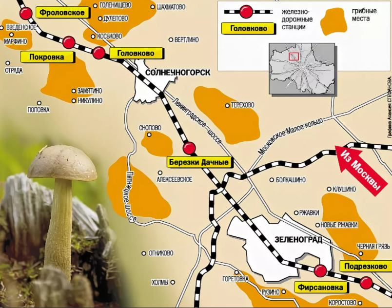 Грибная карта подмосковья. Грибные места Киевское шоссе на карте на машине. Карта грибных мест Подмосковья Горьковское направление. Грибные места в Подмосковье Курское направление.