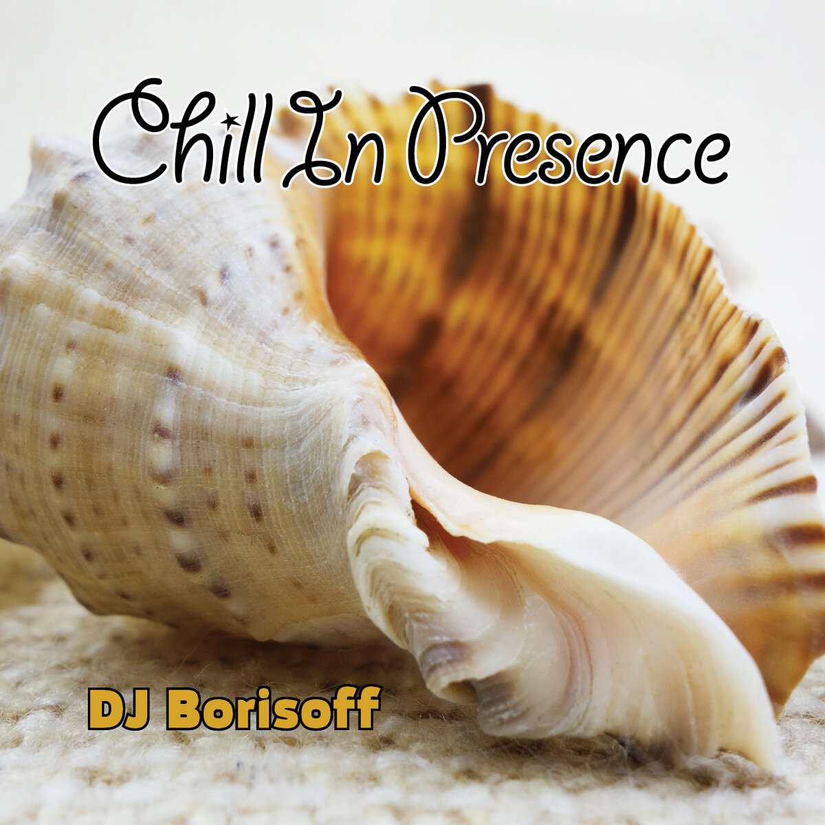 DJ Borisoff - Chill In Presence