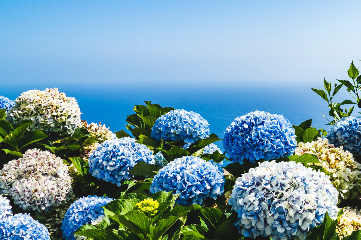 https://unsplash.com/photos/LvEOWMyr-Bc