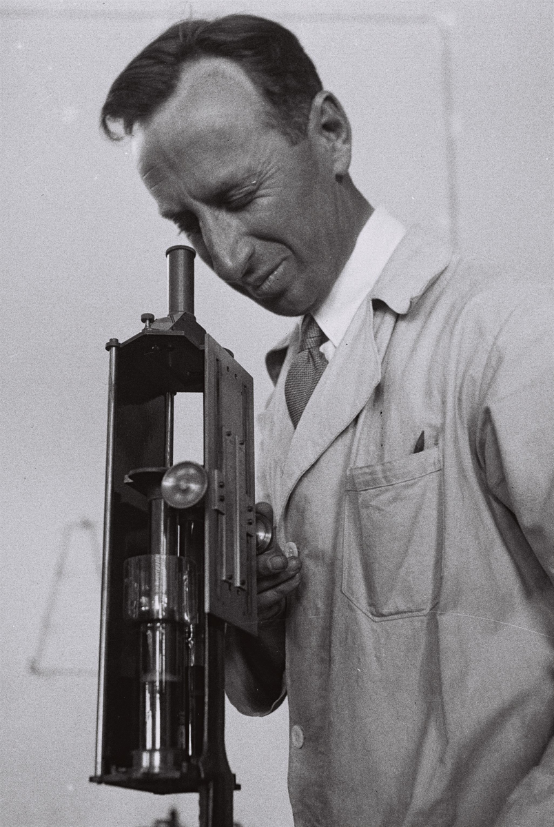 https://upload.wikimedia.org/wikipedia/commons/5/51/PROF._RABIKIVITZ_OF_THE_AGRICULTURAL_RESEARCH_STATION_IN_REHOVOT._עבודות_מחקר_במעבדה_הכימית_במכון_וולקני_ברחובות.D824-099.jpg