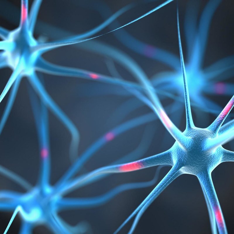 Порой это утверждение становится главным аргументом, когда мы пытаемся убедить другого человека меньше переживать из-за проблем и неприятностей. И раньше у него действительно было научное основание. Но теперь появились новые данные, говорит нейропсихолог Маргарита Алфимова, которые опровергают привычные представления.