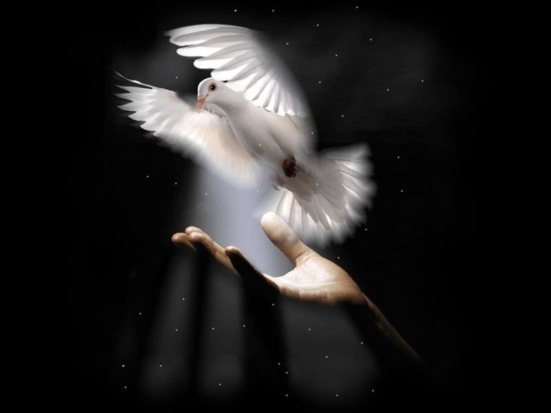 Царство небесное как правильно открытки. Царство небесное вечный покой. Светлая память. Как писать царствие или царство небесное. Светлая память и царствие небесное.