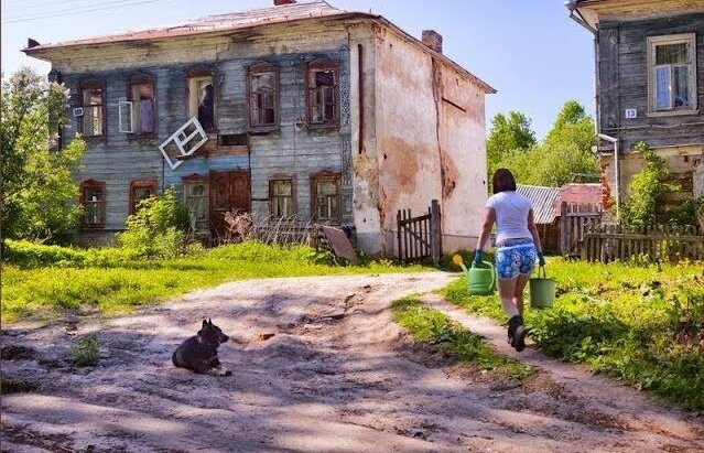 Фото Яндекс Картинки.