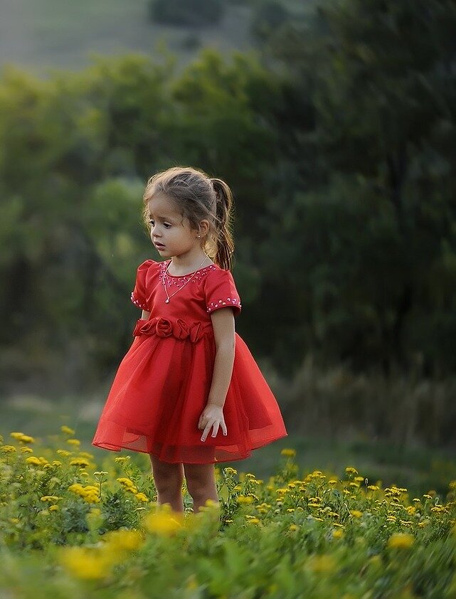 Фото из открытого источника