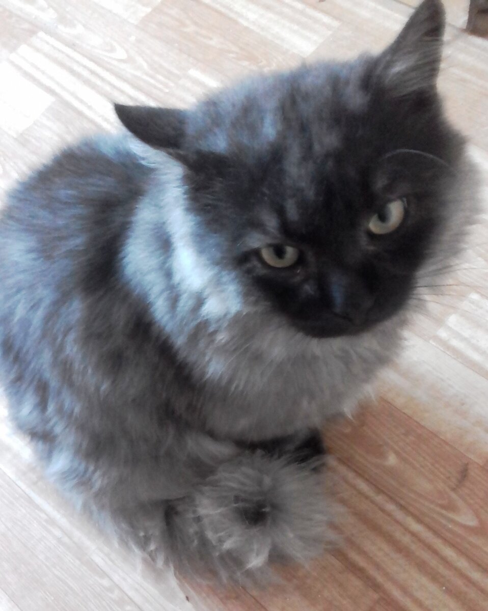 Податель заявления ждёт удовлетворения