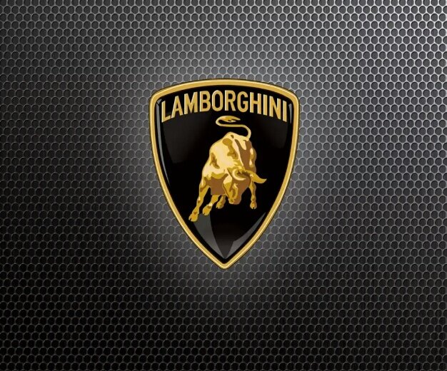 Automobili Lamborghini S.p.A. — итальянский производитель суперкаров со штаб-квартирой в Сант'Агата-Болоньезе. Принадлежит Audi AG.

Основатель компании Ферруччо Ламборгини, как и многие создатели автомобилестроительных предприятий, страстно увлекался механизмами с самого детства. Он окончил инженерную школу в Болонье, затем работал механиком в армии Италии. После окончания Второй мировой войны Ламборгини переделывал военную технику в сельскохозяйственную. Он уже тогда использовал изображение быка в качестве эмблемы для своей продукции, поскольку по гороскопу был тельцом.

В конце 40-х годов Ферруччо Ламборгини выпускал трактор собственной разработки. Затем его фирма изготавливала отопительную технику и системы кондиционирования воздуха. Ламборгини стал достаточно состоятельным, чтобы покупать дорогие автомобили, в числе которых были Mercedes 300SL, Maserati 3500GT, Jaguar E-type и несколько Ferrari 250 GT. Ни один из них не удовлетворял его полностью.

Решение производить автомобили Ламборгини принял быстро. Многие сочли его сумасбродным, ведь амбициозный Ферруччо хотел создавать суперкары. На их разработку и изготовление можно было спустить все состояние. Существует несколько версий того, какая именно причина побудила Ламборгини заняться сборкой суперкаров. Сын основателя марки рассказывал, что решающую роль сыграла ссора с Энцо Феррари, который слыл вспыльчивым и резким человеком. Однажды Ламборгини приехал на фабрику Ferrari и пожаловался Энцо на некачественное сцепление в автомобиле Ferrari 250 GT. Энцо даже не стал его слушать, сообщив, что тот ничего не смыслит в гоночных авто, и отправив дальше заниматься тракторами. Тогда Ламборгини решил построить машину, которая бы превосходила модели Феррари.

Вернувшись к себе, он разобрал трансмиссию и увидел, что многие ее детали он использует для своих тракторов. Заново пересобрав ее, Ферруччо Ламборгини решил проблему и сосредоточился на реализации своей давней мечты — изготовлении автомобилей.

Вскоре после размолвки Ламборгини и Феррари последний рассорился со своими талантливыми специалистами — Джаном Паоло Далларом, Джотто Бизарини и Бобом Уоллесом. Они сразу же получили контракт у Ламборгини. Всего в 15 км от фабрики Ferrari в Маранелло кипела работа по созданию новых суперкаров. Компания Automobili Ferruccio Lamborghini SpA была зарегистрирована в 1963 году.

Первый прототип представили на автосалоне в Турине в октябре 1963 года. Это был Lamborghini 350 GTV, двухместное купе с 3,5-литровым двигателем V12 мощностью 347 л.с. Максимальная скорость составляла 280 км/час, а до «сотни» машина разгонялась за 6,7 секунды. Серийная версия автомобиля дебютировала на Женевском автосалоне через полгода.


Lamborghini 350 GTV (1963)

В 1966 году появилась модель Lamborghini 400 GT, которая отличалась от первого авто марки некоторыми изменениями кузова. Успешные продажи позволили компании накопить денег для разработки легендарной Miura, дебютировавшей в марте 1966 года. Этот автомобиль прославил бренд на весь мир. Его «фишкой» были расположенные заподлицо с капотом передние фары, которые поворачивались в вертикальное положение при включении.

Под капотом поместился поперечно расположенный мотор V12 объемом 3,9 литра и мощностью 350 л.с. Корпус был изготовлен из алюминия. В 1968 году представлена модификация Lamborghini Miura P400S с электрическими стеклоподъемниками, хромированной окантовкой вокруг окон, обновленной приборной панелью и более мощным (на 20 л.с.) двигателем.


Lamborghini Miura (1966–1969)

В 1968 году дебютировал Islero 400 GT, который был назван в честь быка, убившего в 1947 году известного матадора Мануэля Родригеса.

В том же году представлена знаменитая модель Espada («клинок матадора»). Она стала первым четырехместным автомобилем марки, который позиционировался как «семейный суперкар».

В 1970-м выходит небольшой Lamborghini Urraco P250, проектированием которого занимался Марчелло Гандини. Автомобиль комплектовался восьмицилиндровым 2,5-литровым двигателем с центральным расположением. Кроме того, в этом году появилась модель Jarama 400 GT с 4,0-литровым мотором V12.

В 1971 году настоящий фурор произвел представленный прототип Lamborghini Countach. Он получил вертикально открывающиеся двери, четырехлитровый силовой агрегат и задние воздухозаборники. С 365-сильным двигателем автомобиль разгонялся до 300 км/час. Серийный вариант машины представили в 1974 году. Он получил менее футуристическую внешность, однако все же отличался броским и оригинальным экстерьером.


Lamborghini Countach (1974–1990)

В начале 70-х компанию начинают преследовать финансовые неудачи. Ферруччо Ламборгини продает свою долю тракторного производства компании Fiat, поскольку испытывает недостаток средств от сорванного контракта на поставку крупной партии в Южную Америку. Несмотря на то что продажи автомобилей позволяли марке удерживаться на плаву, Ферруччо продает ее швейцарским инвесторам Жоржу-Анри Росетти и Рене Леймеру. Одной из причин такого решения была малая заинтересованность его сына в управлении автомобилестроительной компанией. Однако новые владельцы также мало внимания уделяли развитию марки.

Незавидное положение ухудшалось разразившимся мировым топливным кризисом, который снизил интерес покупателей к спорткарам. Оставшиеся заказчики были немало разочарованы необходимостью ожидать заказанные авто в течение двух лет. Эта трудность возникла из-за срыва поставок запасных частей.

Чтобы удержаться на плаву, Lamborghini заключила соглашение с BMW, согласно которому осуществляла производство и доводку спорткара, вышедшего на рынок под названием M1. Чтобы выполнить контракт, компания взяла большой заем у правительства Италии. В это же время заключен контракт с американской Mobility Technology International о проектировании скоростного армейского внедорожника, использующего двигатель Chrysler. Модель назвали Cheetah («гепард») и представили в 1977 году во время Женевского автосалона. Она вызвала невероятный интерес публики, которая не могла ожидать от Lamborghini ничего подобного.


Lamborghini Cheetah (1986–1993)

Работы по контракту с BMW оттягивались по времени, так как компания потратила большую часть денег на Cheetah. У немецкого автопроизводителя лопнуло терпение, и соглашение было расторгнуто. Тогда поговаривали, что баварская марка все-таки получила желаемое от Lamborghini, которая спроектировала и полностью осуществила доводку автомобиля.

В 1978 году компания вынуждена была объявить себя банкротом и перешла под управление госадминистрации. Чтобы снизить затраты, с конвейера сняли модели Silhouette, Urraco и Espada. В 1980 году марка перешла под контроль Mimran Group. Под руководством Патрика Мимрана, ставшего президентом компании, выходит также спорткар Jalpa с кузовом тарга и внедорожник LM001, изготовленный на базе Cheetah. LM001 комплектовался 3,6-литровым V8 или 4,7-литровым V12. Через год выходит его усовершенствованная версия LM002 с 455-сильным двигателем V12, объем которого равнялся 5,2 литра. Его переместили вперед и немного модернизировали подвеску.

1987 год — очередная смена собственника. На этот раз марка попала под крыло американской компании Chrysler, которая сосредоточилась на разработке модели Diablo, пришедшей на смену Countach. Она многое переняла от своего предшественника, в том числе компоновку, конструкцию шасси с пространственной рамой, усиленные детали из композитных материалов, а также разработанный Марчелло Гандини кузов. Мотор объемом 5729 см куб. выдавал 492 л.с. Автомобиль мог разогнаться до 325 км/час, а время разгона до 100 км/час занимало 4,1 секунды.


Lamborghini Diablo (1990–2001)

В 1994 году Chrysler испытывала серьезные финансовые трудности и была вынуждена продать Lamborghini индонезийской инвестиционной группе. Спустя 4 года последняя, также испытывая проблемы с финансированием, передала итальянскую марку «под крыло» Audi, входящей в состав Volkswagen AG.

Новый владелец оказал существенное влияние на внешность и техническую начинку моделей Lamborghini. В частности, под его руководством вышел одним из самых впечатляющих суперкаров — Murciélago, сменивший в 2001 году Diablo. До 2010 года было выпущено 4 099 экземпляров модели, что сделало ее самым массовым автомобилем с 12-цилиндровым двигателем в истории компании.
Lamborghini Murciélago (2001–2010)

В 2003-м вышел более компактный Lamborghini Gallardo, который стал самой массовой моделью марки: за 11 лет производства было выпущено 2 903 автомобиля.

За этим последовало появление ряда громких новинок марки, одной из которых был Lamborghini Aventador, сменивший Murciélago в 2011 году. Он получил 6,5-литровый 12-цилиндровый двигатель, развивающий 700 л.с. Максимальная скорость составляет 350 км/час, а разгон с 0 до 100 км/час — 2,9 секунды.

В 2014 году представлена замена Gallardo — Lamborghini Huracán с 5,2-литровым 10-цилиндровым двигателем мощностью 610 л.с. Его максимальная скорость равняется 325 км/час.

Официальное представительство Lamborghini в России открылось в 2012 году, когда компании Lamborghini Russia и Burevestnik Group заключили дилерское соглашение. В Москве открылся стенд Lamborghini Moscow, где можно было познакомиться со всем модельным рядом марки, заказать автомобиль, а также запчасти, аксессуары и эксклюзивную одежду. Позднее был открыт сервисный центр Lamborghini.

Сегодня Lamborghini является одним из лидеров среди производителей суперкаров, подаривший миру впечатляющие автомобили и инновационные концепт-кары. Машины марки невозможно спутать с другими, они позиционируются как агрессивные и маскулинные авто для избранных.
