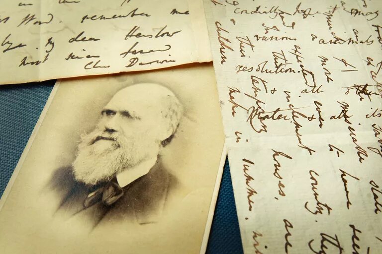 Краткая биография Чарльза Дарвина: от юности до открытия теории эволюции