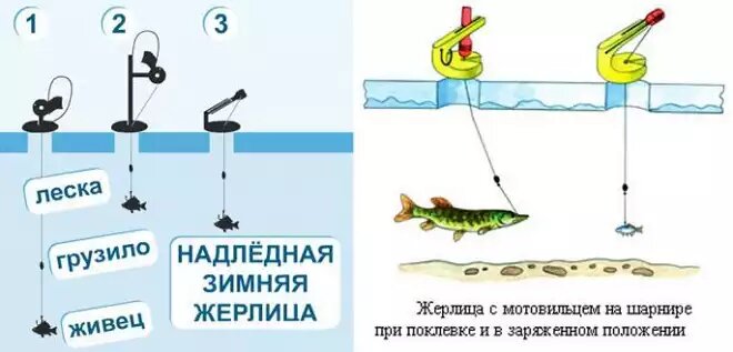 Ловля щуки на жерлицы: особенности, тактика, поиск мест