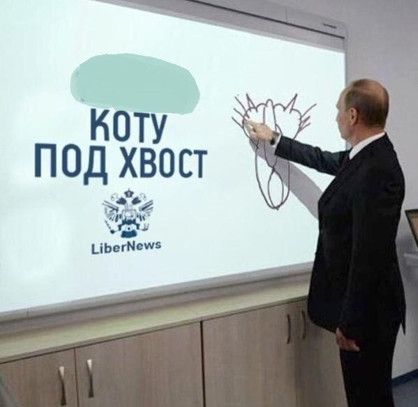 фото с яндекс картинки