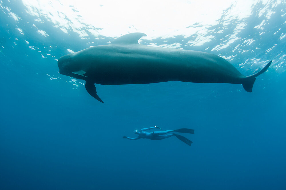Источник: Яндекс. Картинки