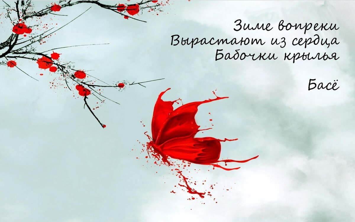 изображение из свободного источника