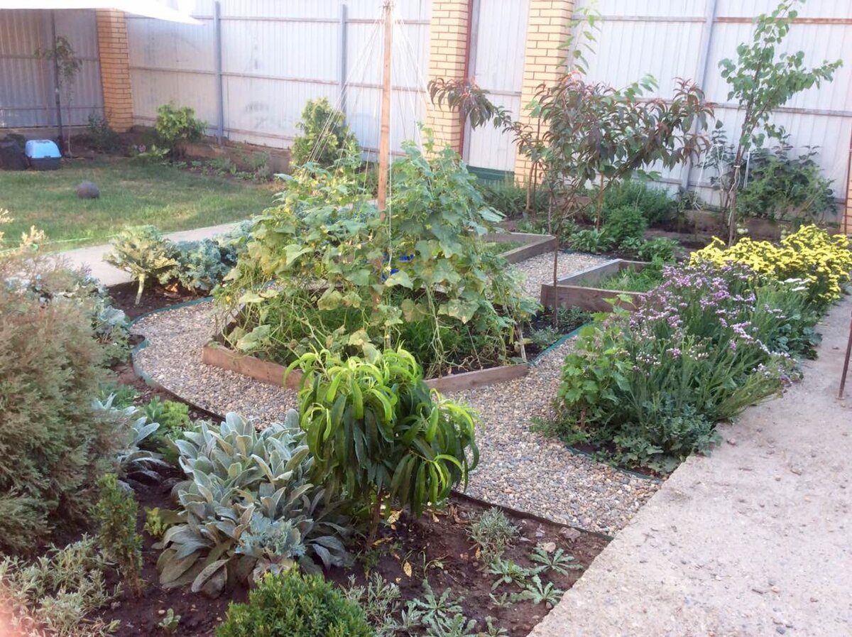 Сад-огород.Начало))