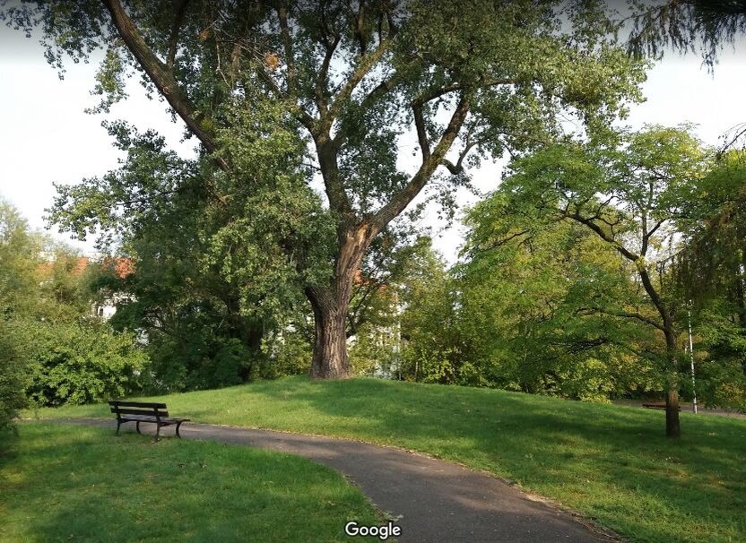 Парк имени Czeslawa Szczubelka. Фото: Krzyszof Ziółkowski