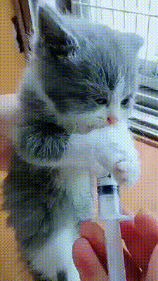 Ом ном ном ном ном :)))) Маленький милаш :) Без улыбки и не взглянешь!