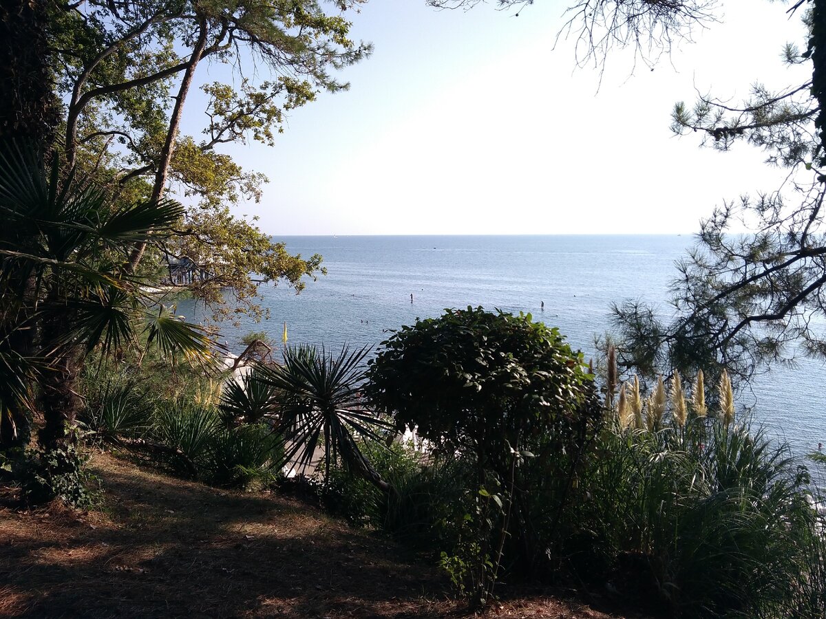 Побег из сибири в витязево. Пляж афалина анапа. Зазывала на пляже. Кроссфит анапа лок. Побег из сибири в витязево дзен.