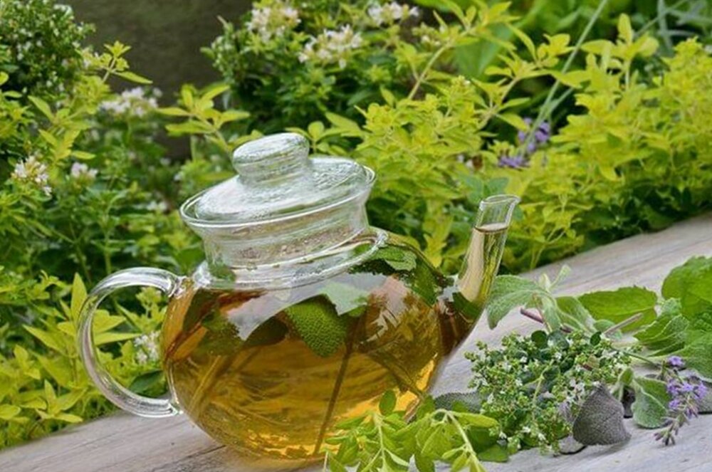 детоксикация организма травами