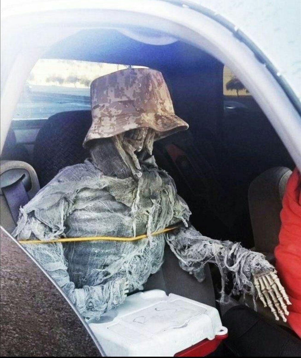 Пассажиром, 