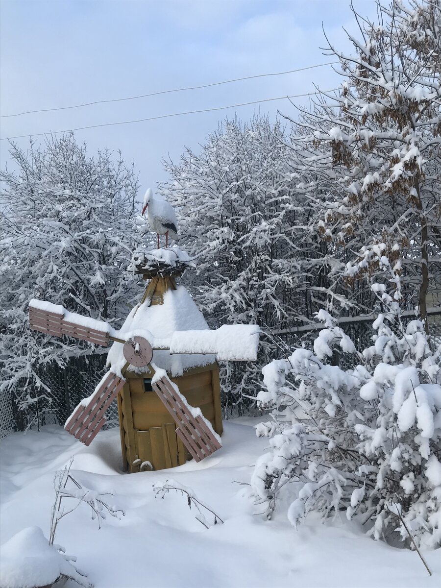 Трафарет сани