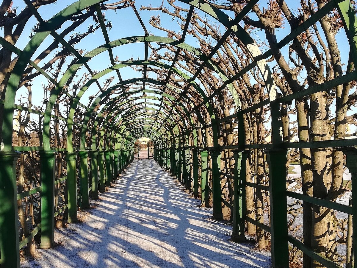 Верхний сад Большого дворца в Петергофе