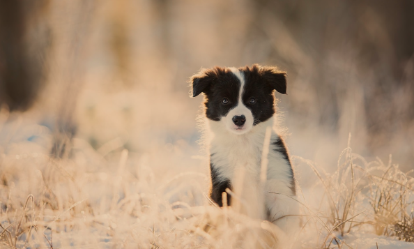 Фото: Атмосферная картинка 