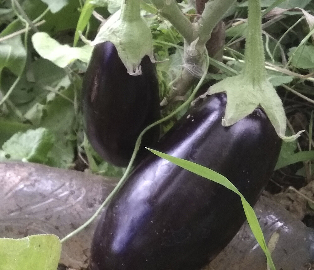 Фото из личного архива