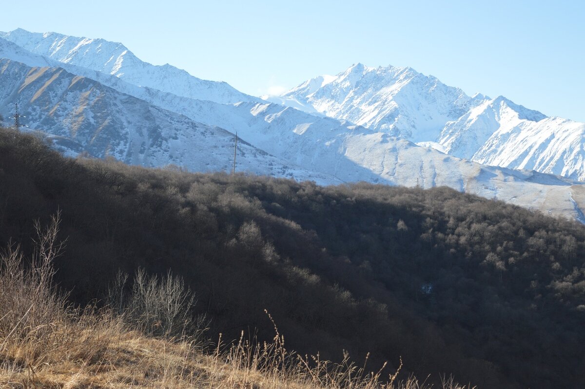 © МИР В ОБЪЕКТИВЕ/ СЕ ЧЕЛОВЕК