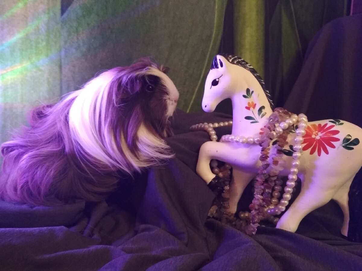 Одно из фото на конкурс. 