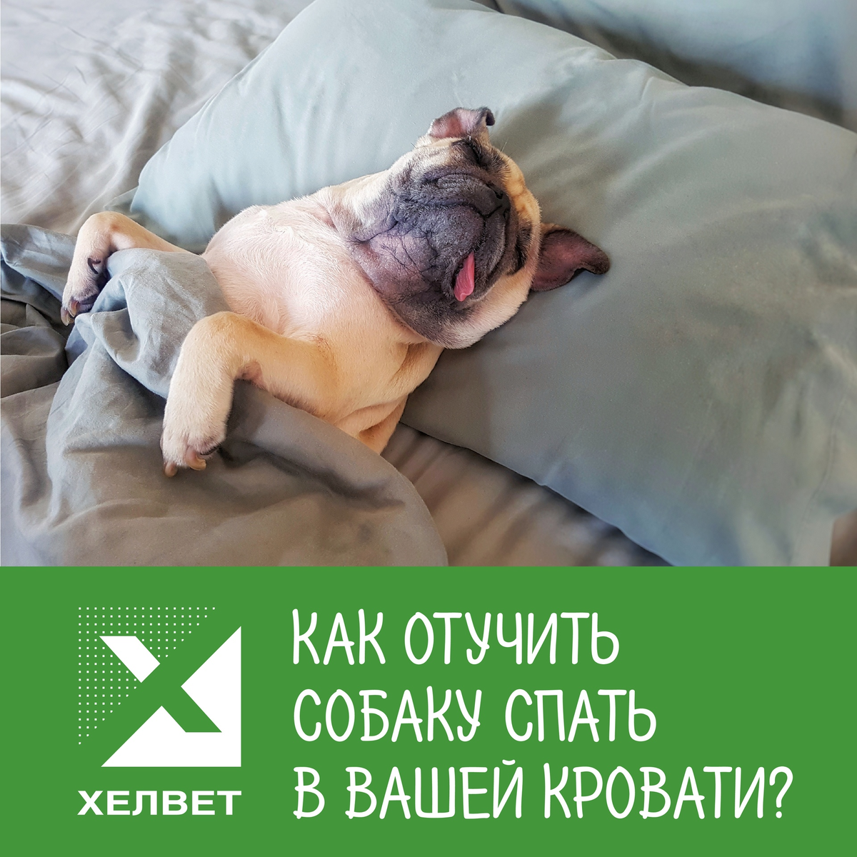 Факторы влияющие на привычку спать на кровати