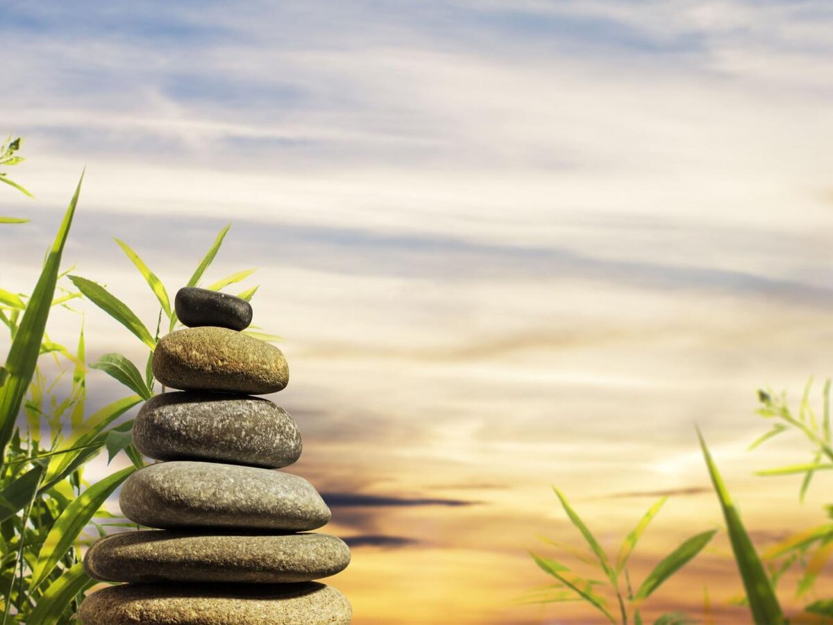 Фото из свободных источников