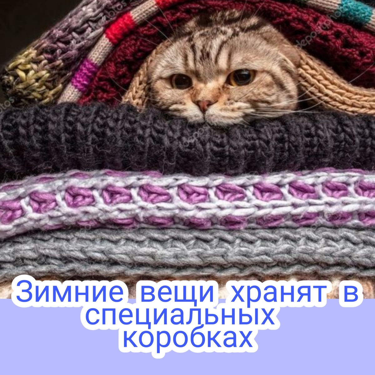 Шерстяные вещи требуют особого ухода