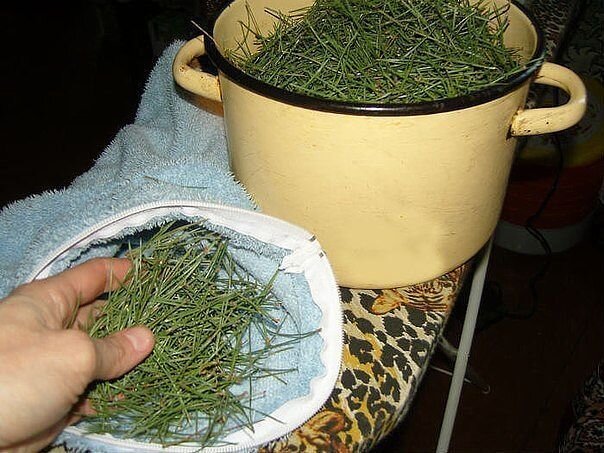 Здрава Наших Предков