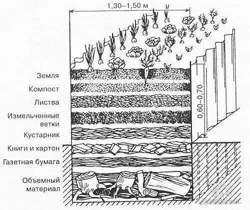 Теплые грядки: что это такое и как обустроить