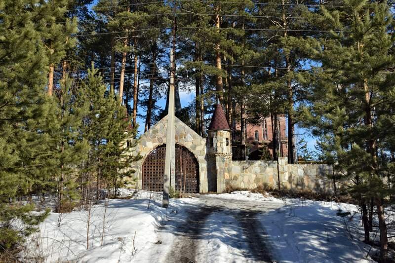 Парадный вход несколько портит столб электрических сетей, который расположился в аккурат посреди ворот.