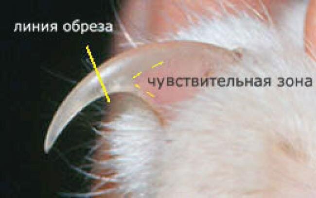 Источник: яндекс картинки