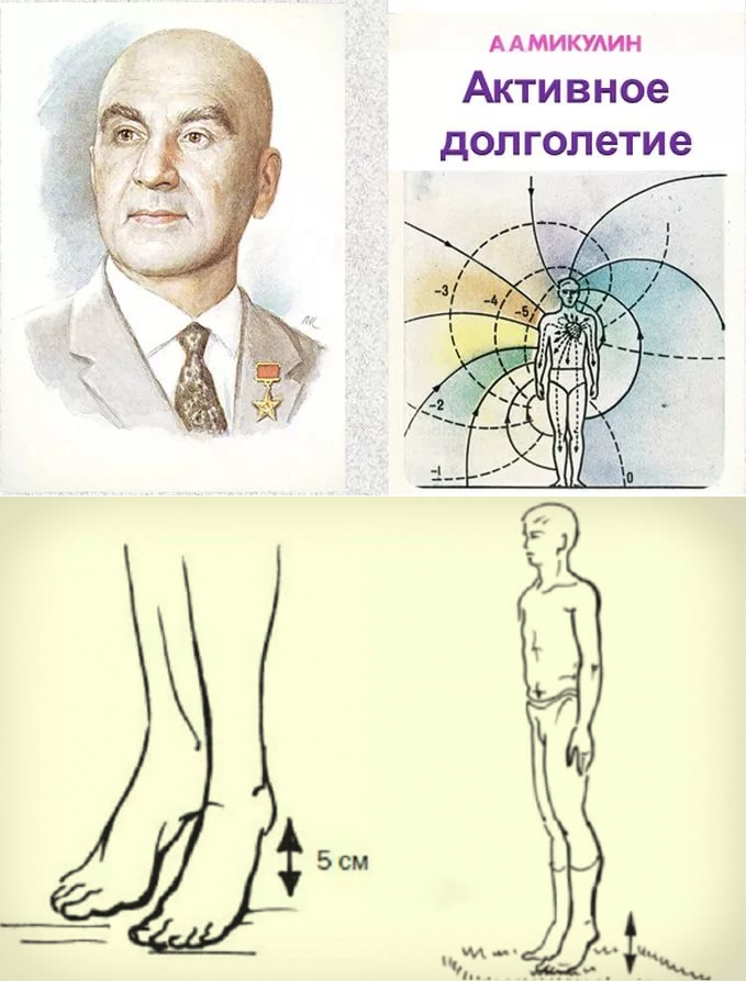 Академик Микулин создал гимнастику, состоящую из простейших упражнений, своеобразных сотрясений — ударах пятками о пол. Эта методика позволяет улучшить кровоток, предотвратить закупорку вен и нормализовать давление. Также улучшается работа мозга: от тяжести и боли в голове не остается и следа. Встань прямо, стопы соедини, зубы сожми. Приподними пятки на 3–5 см от пола, затем резко опустись. В результате возникшего встряхивания венозные клапаны получают дополнительный импульс для проталкивания крови вверх.
Делай по 30 таких подниманий-опусканий 5 раз в день не спеша: 1 сотрясение в секунду.
Такая гимнастика особенно полезна людям, которые вынуждены на работе подолгу стоять или сидеть. Это упражнение могут выполнять даже те, кому запрещены бег или быстрая ходьба.
Встряска организма — это эффективная профилактика тромбофлебита, инфаркта миокарда и инсульта. Удивительно, что 1 простое упражнение настолько полезно!