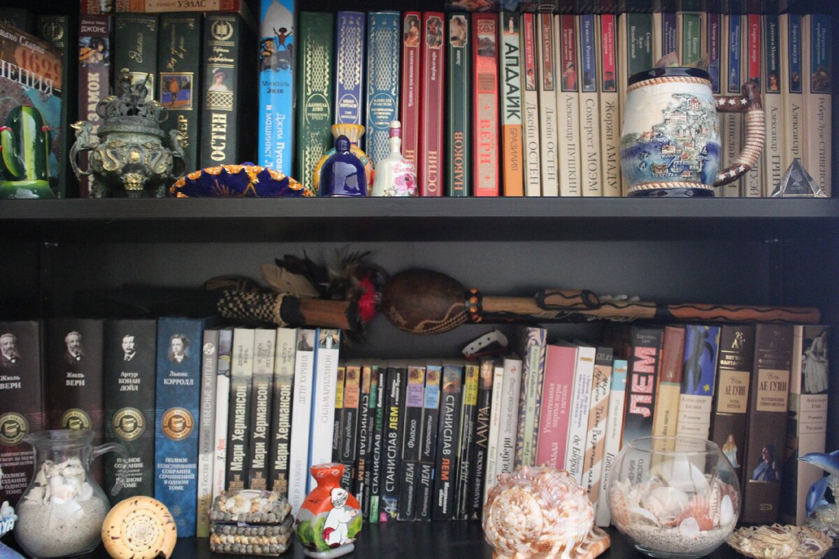 Фото автора | Наш книжный шкаф