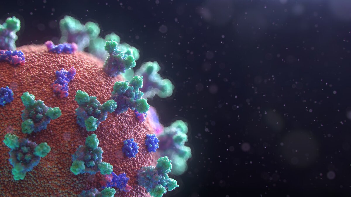 
Fusion Medical Animation / Unsplash