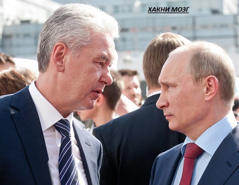 коронавирус, новости, последние новости, работа