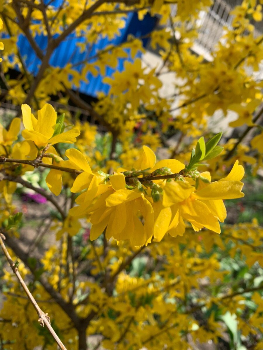 #советдня #давайтеобщаться 