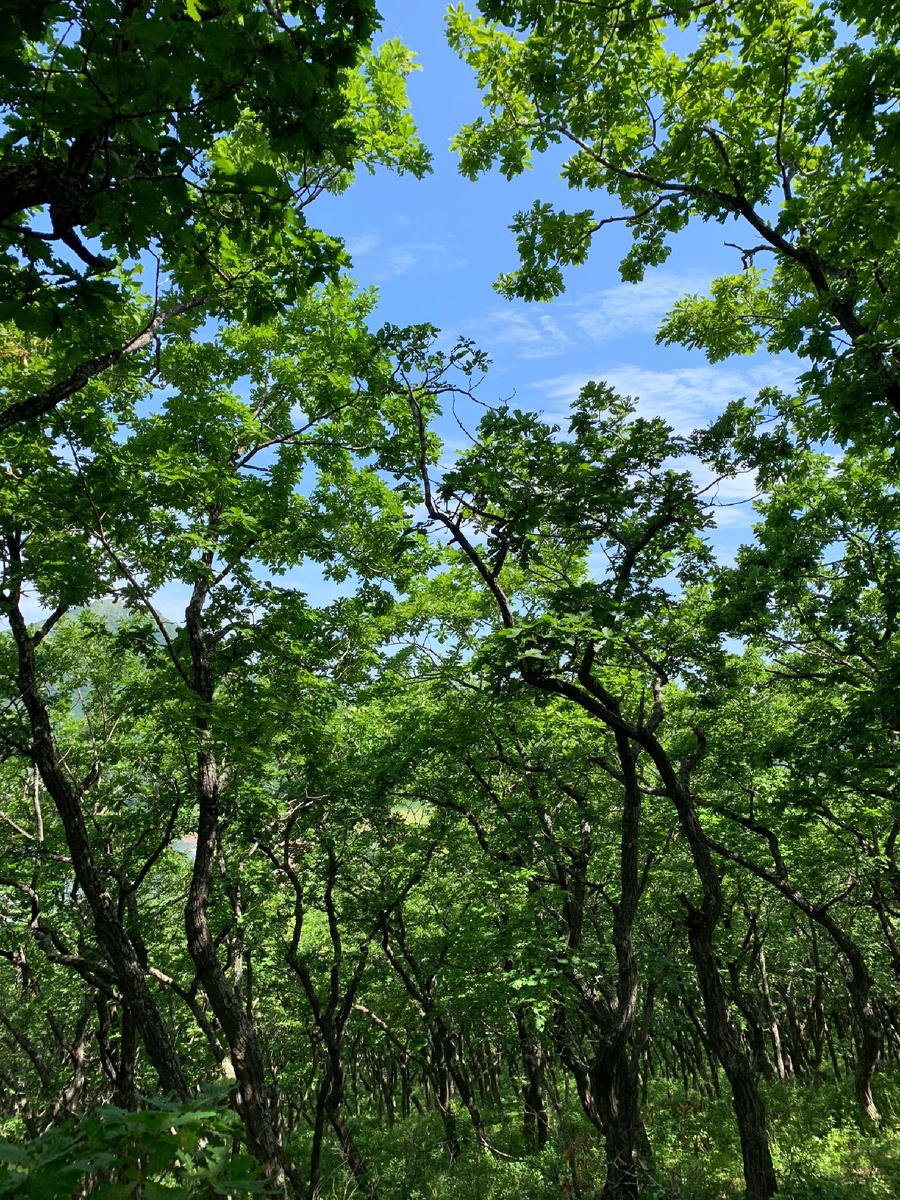 г.Находка