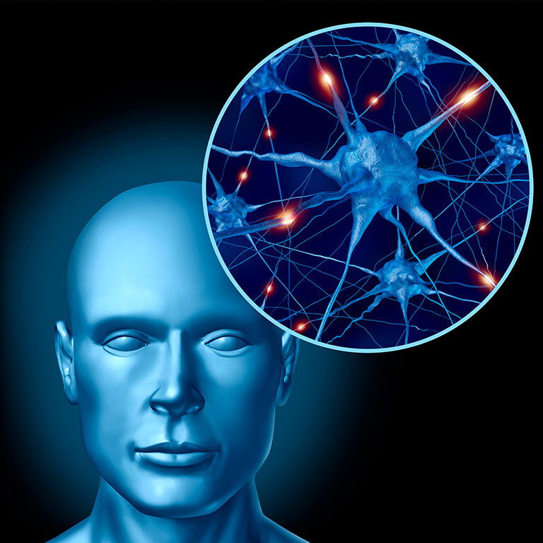 Источник изображения: litovit.info